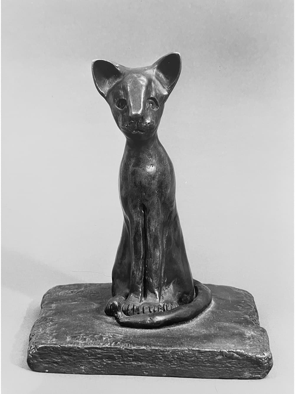 phot-chat-accueil-grand-sam1988