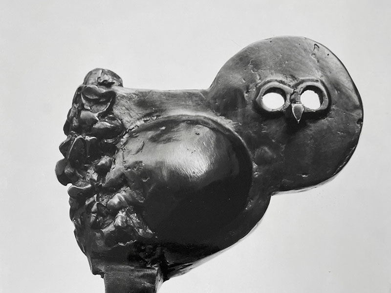 Petite chouette plate