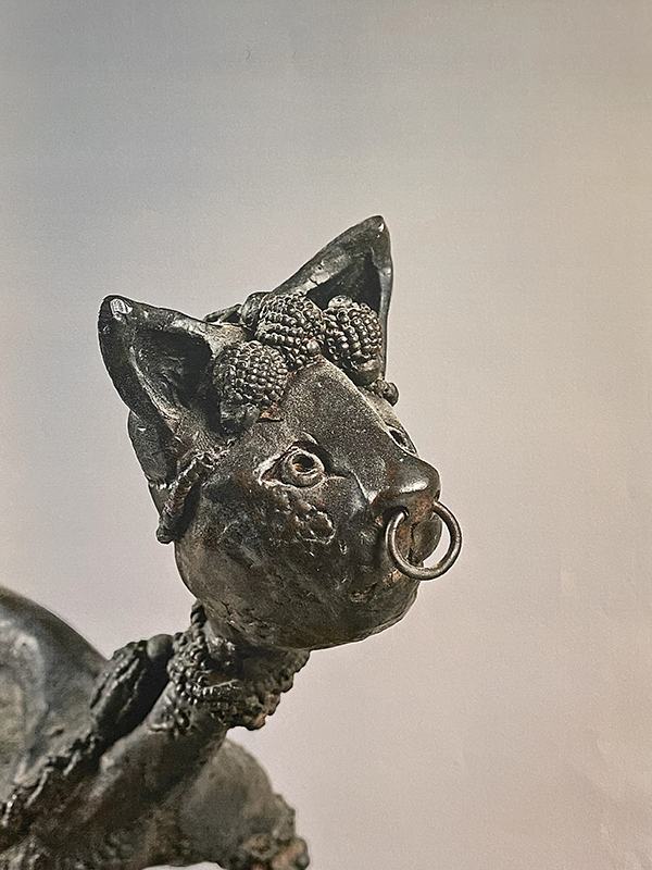 Chat l&rsquo;Africain